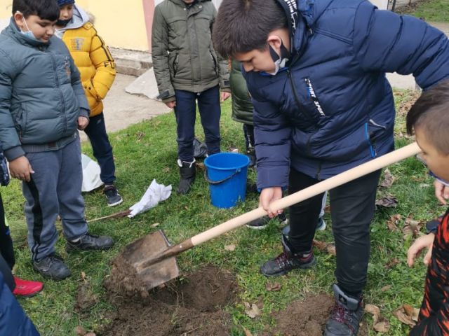 Засади дърво - направи добро