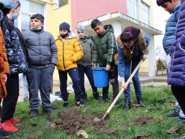 Засади дърво - направи добро