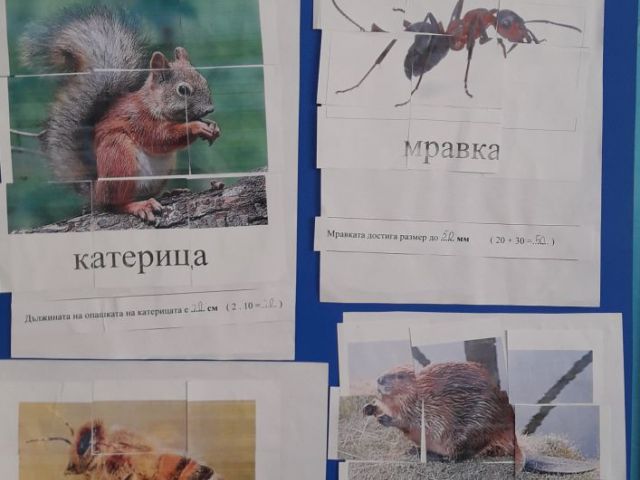 Второкласници опознават света на животните