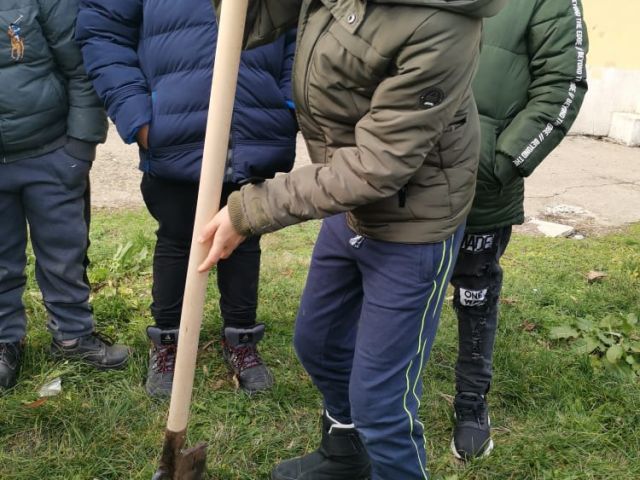 Засади дърво - направи добро