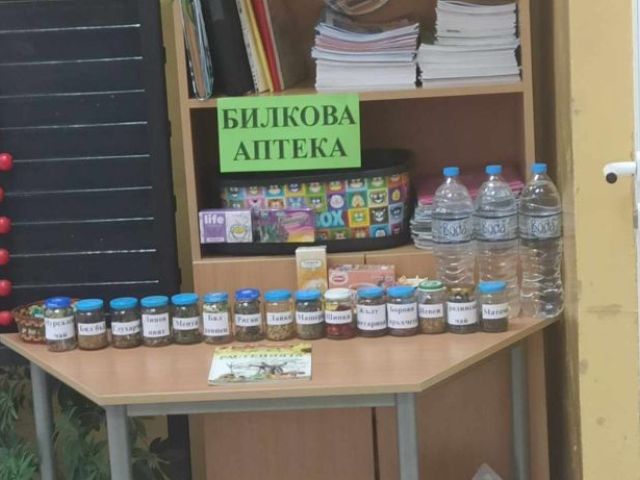 Проектно-базираното обучение във IIб клас