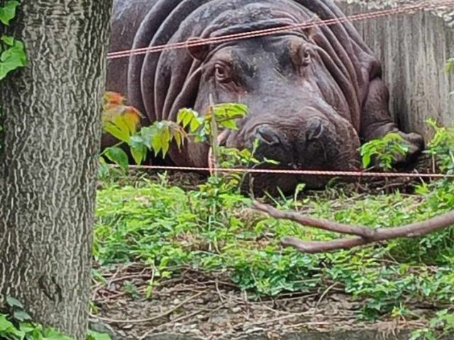 Национална програма „България – образователни маршрути“