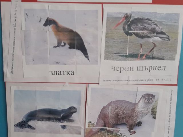 Второкласници опознават света на животните